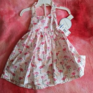 ✨NEW✨ 9-12 Months Flamingo Dress+Bottoms
